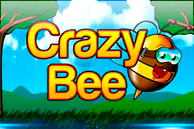 Crazy Bee